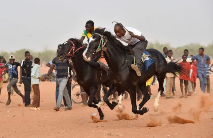 NIGER: SUR LES TRACES D’UN CHEVAL LÉGENDAIRE SUR L’HIPPODROME POUSSIÉREUX DE NIAMEY