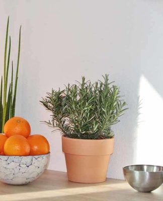 Experiencing the new Oculus Rift VR headset