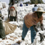 capture-decran-2016-04-12-a-124911-592×296