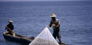Pêche illégale : un accord novateur parrainé par la FAO va bientôt entrer en vigueur.