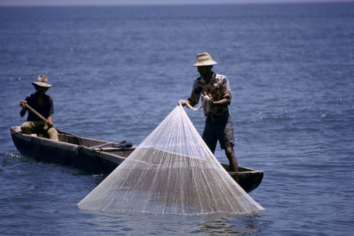 Pêche illégale : un accord novateur parrainé par la FAO va bientôt entrer en vigueur.