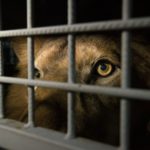 268ea71c45a20b2fbe84598cf4e331f9a7f5818e_0