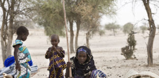 Niger : le PAM accroit son aide alimentaire aux nouveaux déplacés par Boko Haram