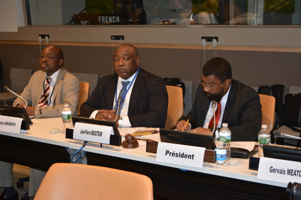 IFDD: Présentation des outils d’analyse et de priorisation des objectifs de développement durable à New York