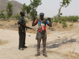 Cameroun : comment les terroristes de Boko Haram se sont convertis à l’import-export