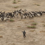 Près de Maroua au Cameroun. CRÉDITS : JOE PENNEY/REUTERS