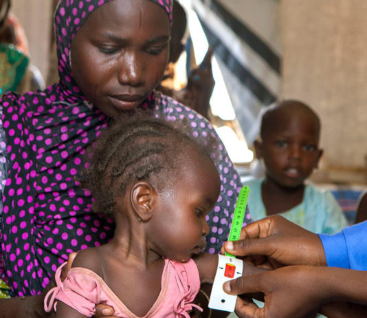 Nigéria : la FAO a besoin de 10 millions de dollars pour fournir une aide agricole dans le nord-est