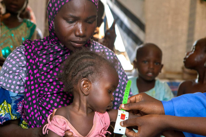 Nigéria : la FAO a besoin de 10 millions de dollars pour fournir une aide agricole dans le nord-est