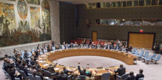 Soudan du sud : le Conseil de sécurité approuve la création d'une force de protection régionale