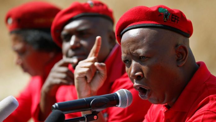 Municipales en Afrique du Sud: coalition de l'opposition sans Julius Malema