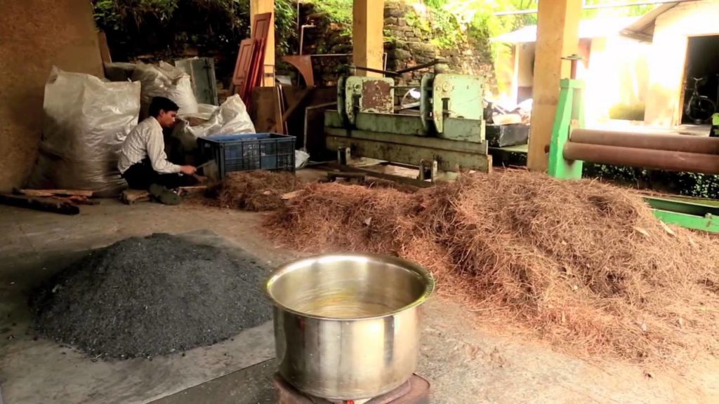 Le pouvoir des aiguilles de pin