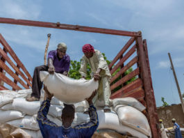 Le Nigéria est confronté à la pire crise humanitaire en Afrique