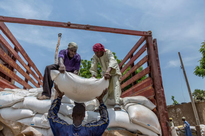 Le Nigéria est confronté à la pire crise humanitaire en Afrique