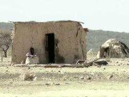 Namibie: La crise de la sécheresse