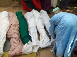 Nigeria: 36 personnes tuées par des voleurs de bétail présumés