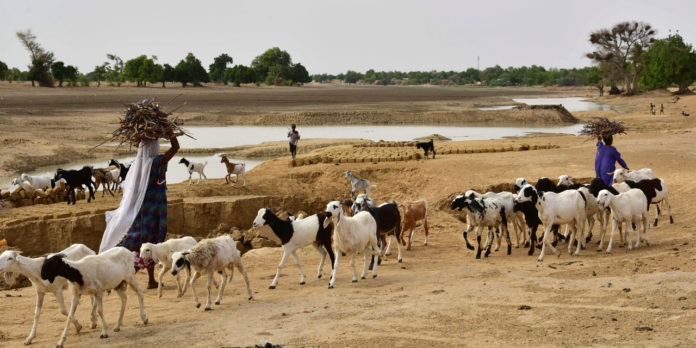 Niger: 18 morts dans des affrontements entre agriculteurs