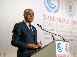 Les défenseurs du climat sonnés par l'élection de Trump, mais déterminés