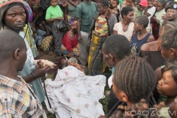 Est de la RDC : 5 rebelles, un Casque bleu et un policier tués