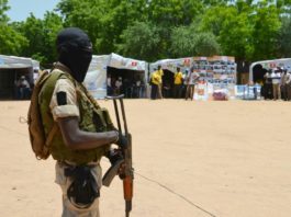 Niger: une trentaine de combattants nigériens de Boko Haram se sont rendus