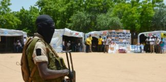 Niger: une trentaine de combattants nigériens de Boko Haram se sont rendus