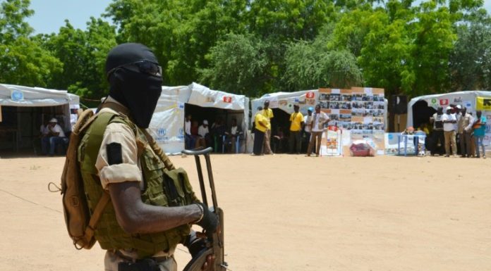 Niger: une trentaine de combattants nigériens de Boko Haram se sont rendus