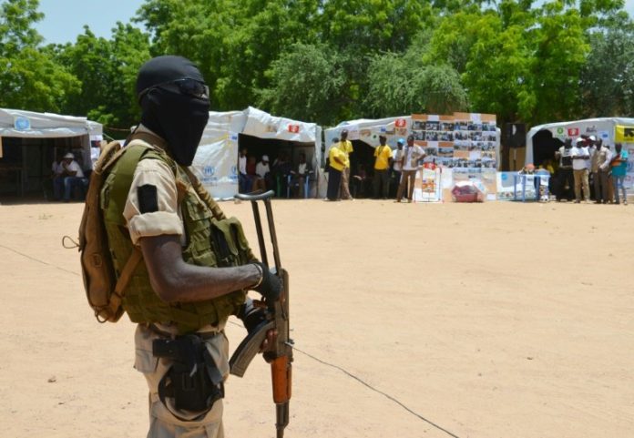 Niger: une trentaine de combattants nigériens de Boko Haram se sont rendus