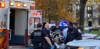 Fusillade près de la Maison-Blanche : panique à Washington