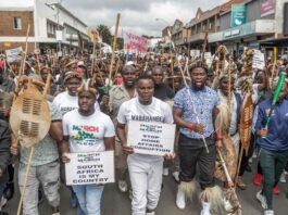 Afrique du Sud : du soutien africain au rejet des Africains