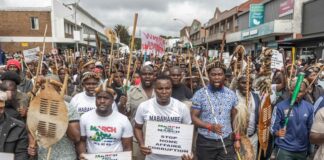 Afrique du Sud : du soutien africain au rejet des Africains