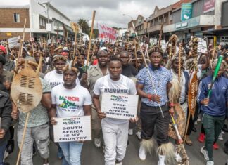 Afrique du Sud : du soutien africain au rejet des Africains