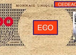 Eco 2027 : la CEDEAO face au défi d’une monnaie sans le Sahel