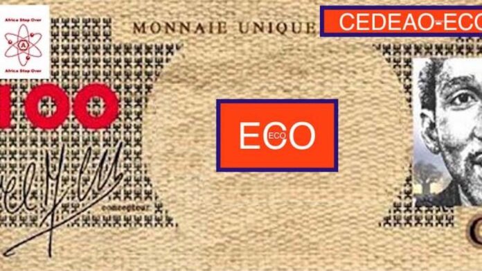 Eco 2027 : la CEDEAO face au défi d'une monnaie sans le Sahel