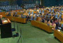 Onu: la guerre des mots entre Palestine et Israël et le plaidoyer libéral de pays en développement