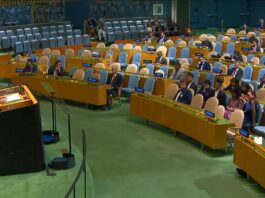 Onu: la guerre des mots entre Palestine et Israël et le plaidoyer libéral de pays en développement
