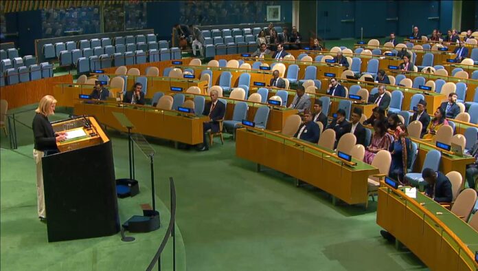 Onu: la guerre des mots entre Palestine et Israël et le plaidoyer libéral de pays en développement