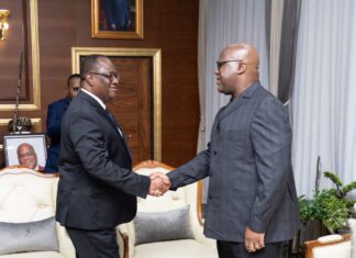 Diplomatie : Abidjan et Kinshasa renforcent leur partenariat